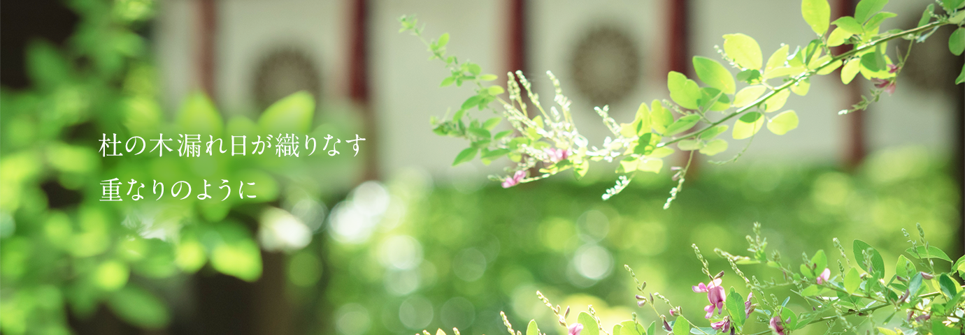 杜の木漏れ日が織りなす重なりのように