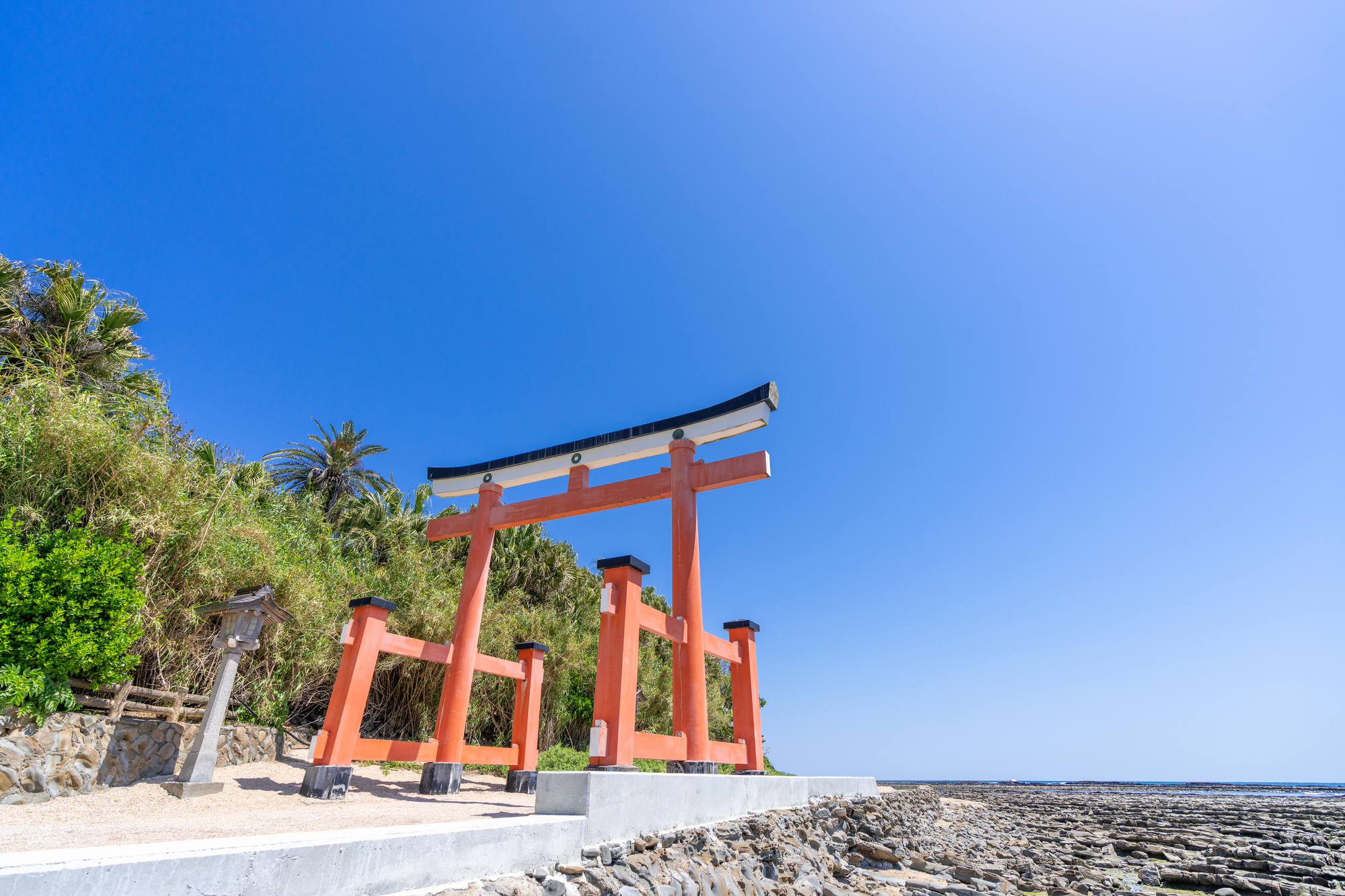 宮崎県の婚活事情。ひとりで始めるのにおすすめの婚活サービスは？
                    
